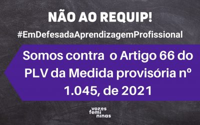 O REQUIP prejudica a inclusão de jovens e adolescentes com deficiência e em vulnerabilidade social